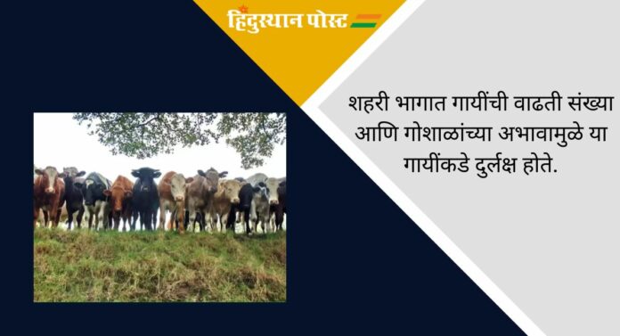 Cow Sanctuary: निराधार गायींना मिळणार नैसर्गिक अधिवास, देशातील पहिले 'गोरक्षण अभयारण्य' उभारणार; वाचा सविस्तर...