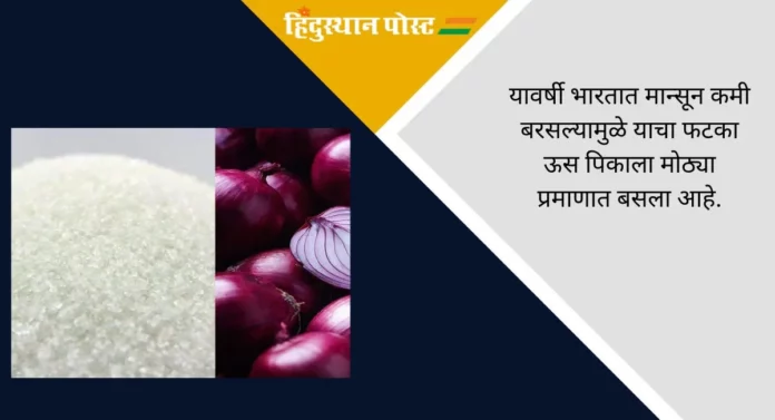 Modi Govt: कांदा आणि साखरेचे भाव कमी होणार, नववर्षापूर्वी मोदी सरकारचा महत्त्वाचा निर्णय