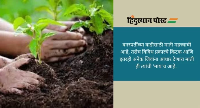 World Soil Day: जगभरात ‘जागतिक मृदा दिन’ साजरा, जाणून घ्या संवर्धनाचे पर्याय...