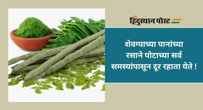 Drumsticks Leaf Benefits : शेवग्याच्या पानांचे आरोग्यासाठी ५ आश्चर्यकारक फायदे