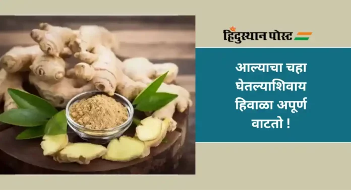 Ginger Benefits : केवळ खोकला आणि सर्दीसाठीच नाही, तर या 5 आजारांमध्येही उपयुक्त आहे आले