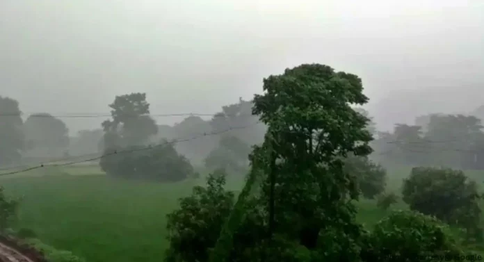 Meteorology Department: ऐन हिवाळ्यात कोकण, विदर्भ, मध्य महाराष्ट्रात पावसाच्या सरी, वाचा हवामान विभागाचा अंदाज