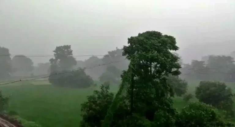 Meteorology Department:  ऐन हिवाळ्यात कोकण, विदर्भ, मध्य महाराष्ट्रात पावसाच्या सरी, वाचा हवामान विभागाचा अंदाज