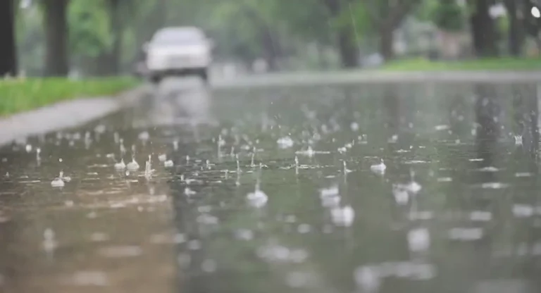 Weather Update : राज्यात ४८ तासात पावसाची शक्यता