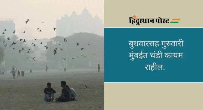 Weather Forecast: १ फेब्रुवारीपर्यंत महाराष्ट्रात थंडी जाणवणार, हवामान विभागाचा अंदाज; वाचा सविस्तर