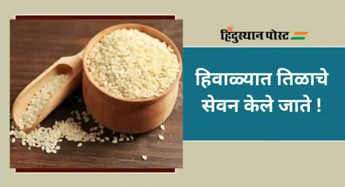 Sesame Seeds : महिलांनो आरोग्य राखण्यासाठी हिवाळ्यात खा 'हा' पदार्थ