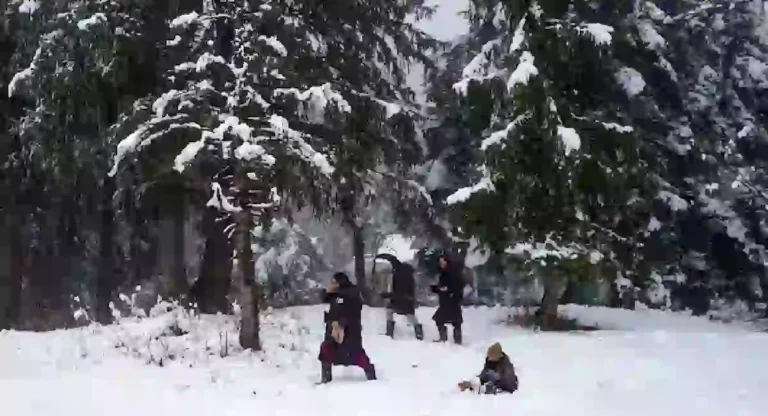 Snowfall In Kashmir : काश्मीरमध्ये बर्फवृष्टी न होण्याचा असाही होईल परिणाम; सफरचंद व्यवसाय अडचणीत