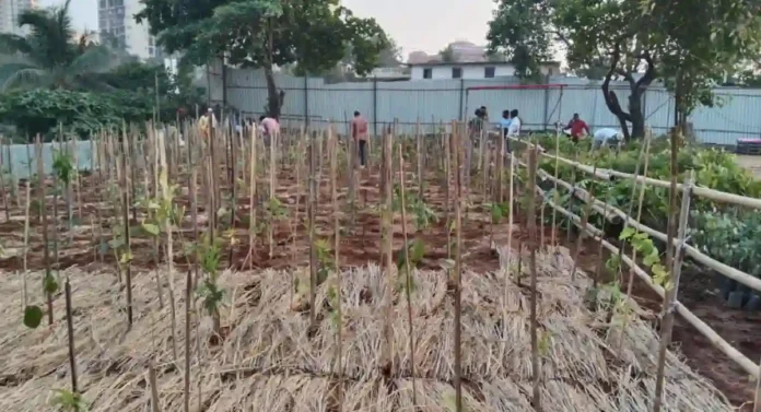 Miyawaki Garden : चारकोप नाक्याच्या त्या जागेवर उद्यान फुलणार