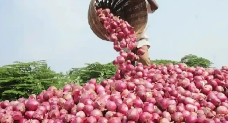 Onion Express Train : कांद्याचे दर आटोक्यात आणण्यासाठी लासलगावहून ‘कांदा एक्स्प्रेस’ थेट दिल्लीला रवाना