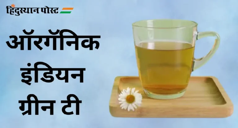 Organic India Green Tea : ऑरगॅनिक इंडिया ग्रीन टी प्या; स्वाद आणि आरोग्याचे वरदान!