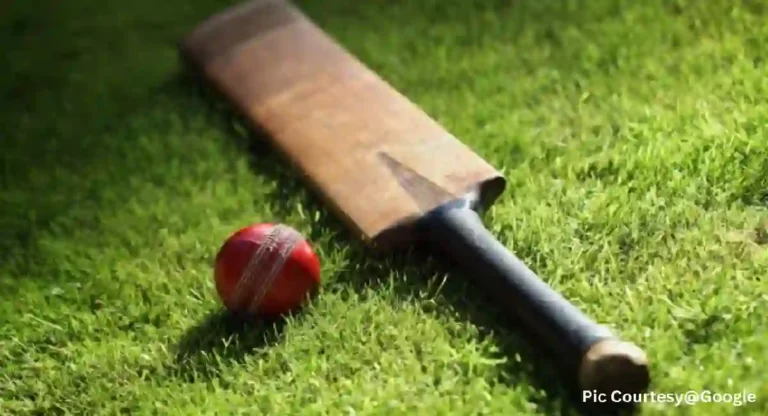 Bizarre Cricket Rule : ‘या’ स्पर्धेत षटकार ठोकण्यालाच आहे बंदी