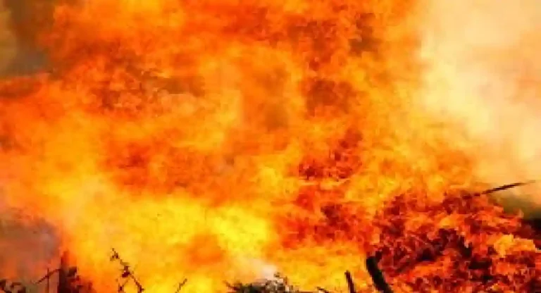 Fire Incidents : मुंबईत तीन वर्षात १३ हजार आगीच्या घटना, ६५ मृत्यू