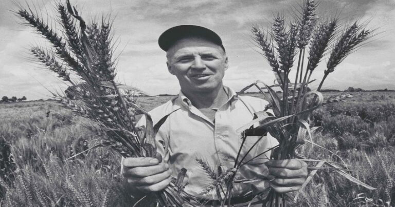 हरितक्रांतीचे जनक कृषीतज्ञ Norman Borlaug