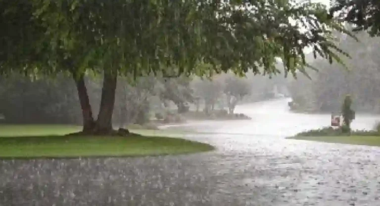 Department of Meteorology: पुढील २४ तासांमध्ये मुंबईत हलक्या पावसाचा अंदाज, कोकणातील पर्यटन रविवारपासून बंद