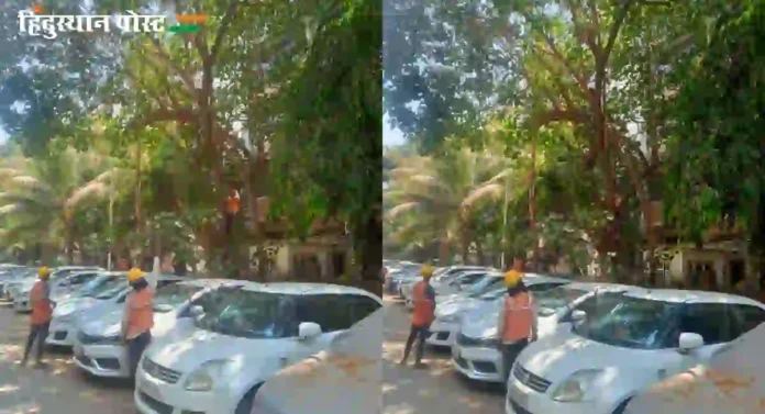 Tree cutting : झाडांच्या छाटणीचे काम यामुळे होते चुकीची... महापालिकेकडे ही होतेय मागणी