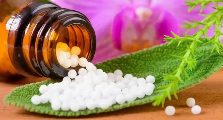 World Homeopathy Day : जागतिक होमिओपॅथी दिवसाचे काय आहे महत्त्व ?