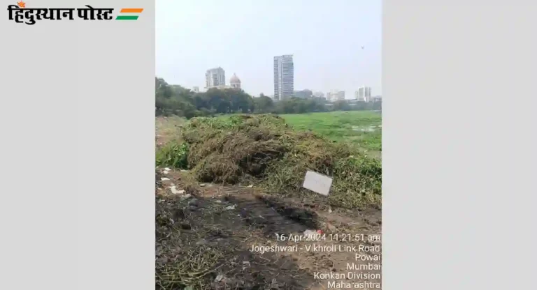 Powai Lake : पवई तलावातील जलपर्णी काढण्याचे काम केवळ २३ टक्केच!