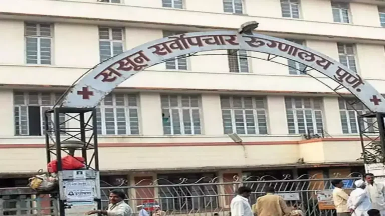 Pune Sasoon Hospital : ICU मध्ये उंदीर चावल्याने तरुणाचा मृत्यू; पुण्यातील धक्कादायक प्रकार