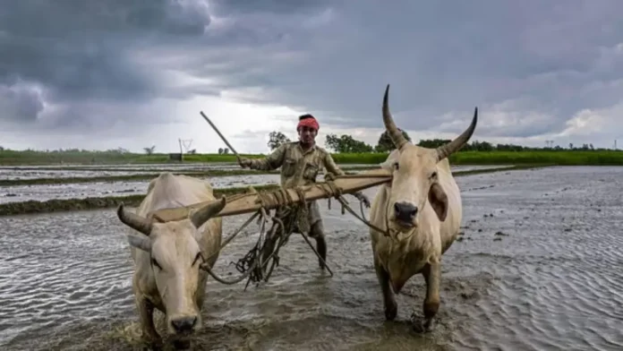 Monsoon: कसा असेल यंदाचा मान्सून? स्कायमेटने वर्तवला अंदाज