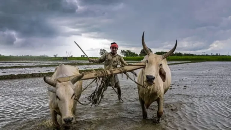 Monsoon: कसा असेल यंदाचा मान्सून? स्कायमेटने वर्तवला अंदाज