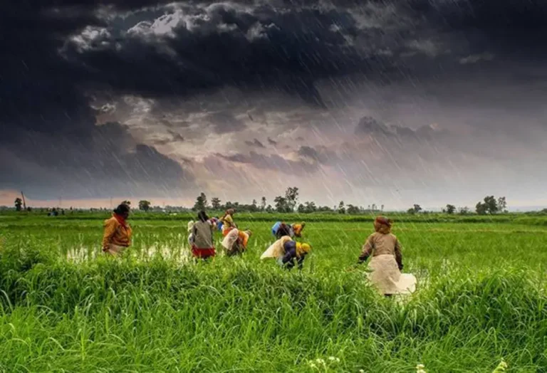 IMD monsoon 2024 predictions : शेतकरी सुखावणार! यंदा वरुणराजा सरासरीहून अधिक बरसणार