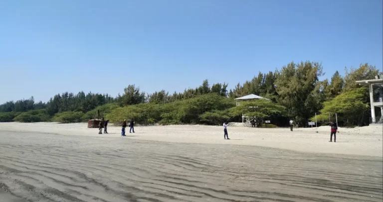 Bakkhali Sea Beach: बक्खली समुद्रकिनाऱ्याच्या ‘या’ अद्भुत गोष्टी तुम्हाला माहिती आहेत का?