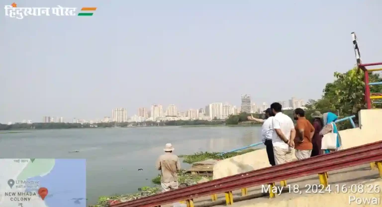 Powai Lake : पक्ष्यांची घरटी आणि त्यांच्या विणीचा हंगाम, पवई तलावातील जलपर्णी काढण्याचे काम थांबवले