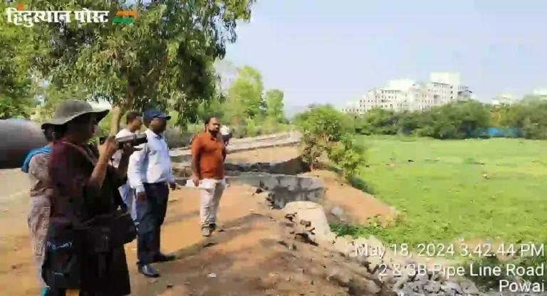 Powai Lake मधील आतापर्यंत काढली केवळ ५५ टक्केच जलपर्णी