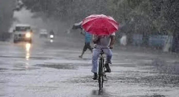 Rain Update: मुंबई, पुण्यासह कोणकोणत्या जिल्ह्यांमध्ये कोसळणार पाऊस? हवामान खात्याचा अंदाज जाणून घ्या