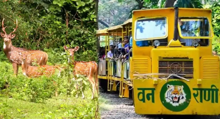 सुट्टीमध्ये एकदा भेट द्यायलाच हवी असे ठिकाण Sanjay Gandhi National Park