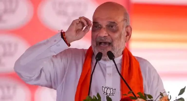 …तर गोहत्या करणाऱ्यांना उलटे लटकवू; Amit Shah यांचा इशारा