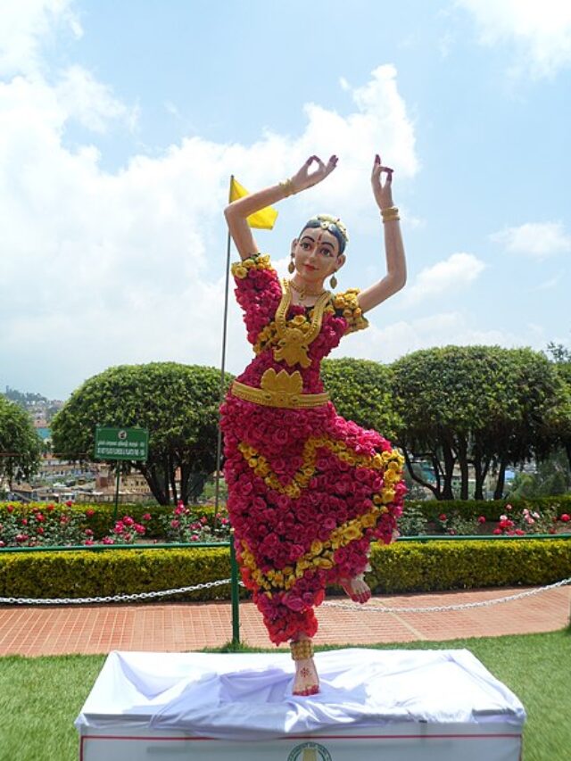 Ooty Flower Festival 2024 : उटीचा फ्लॉवर फेस्टीव्हल; पहा हे सुंदर  फोटो