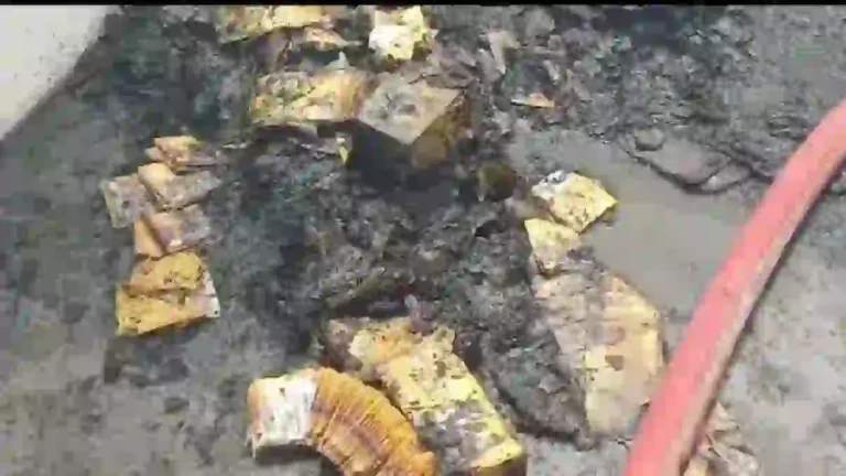 Shivkashi येथे फटका उत्पादनाच्या कारखान्याला आग; ८ कामगारांचा मृत्यू
