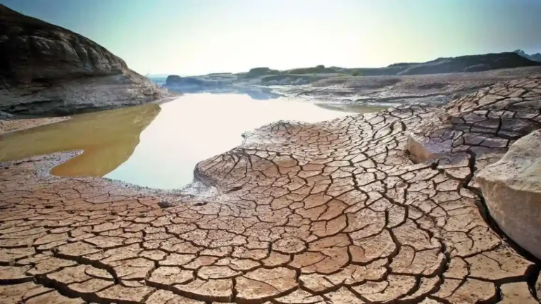 Marathwada Water Crisis: मराठवाड्यात पाणीस्थिती भीषण, चार धरणांमध्ये शून्य ट्क्के पाणीसाठा