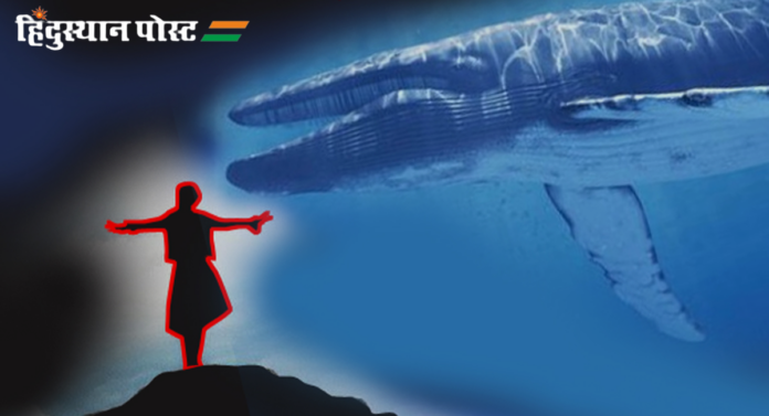 Blue Whale Game: भारतात बंदी घातलेल्या ब्लू व्हेल गेमने ८ वर्षानंतर पुन्हा काढलं डोकं वर!