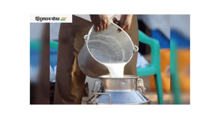 Milk Rate: दुधाच्या दरात तब्बल ‘इतक्या’ रुपयांची घसरण…