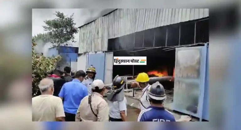 Pimpari Chinchwad Fire: काळेवाडीत गोदामाला आग 