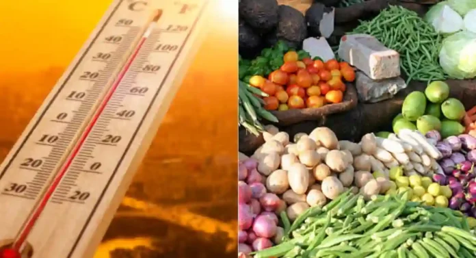 Vegetables Price Hike: उन्हामुळे भाज्या महागल्या, जाणून घ्या नवीन दरवाढ