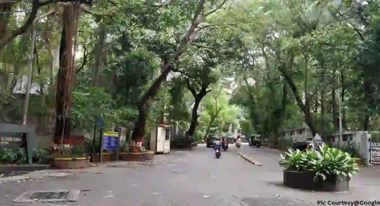 Pali Hill Mumbai : पाली हिलमध्ये गेल्यावर कोणत्या दुकानातून खरेदी कराल?