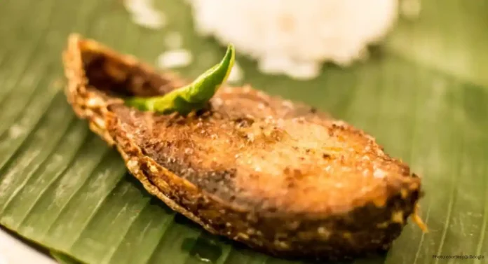 Hilsa Fish: चवदार हिल्सा मासा करी कशी तयार कराल? वाचा सविस्तर...