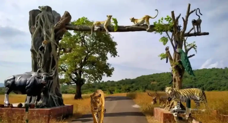 निसर्गाचे विलोभनीय दृश्य पहायचे आहे ?;  Chandoli National Park ला भेट द्या !