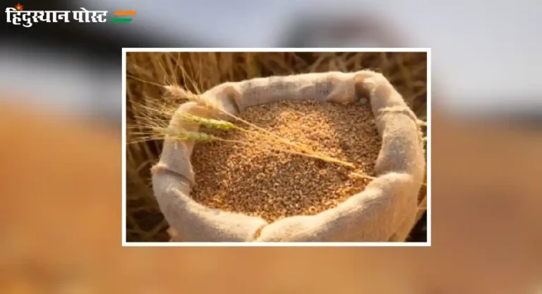 Wheat Stocks : देशात गव्हाच्या साठ्यावर ३१ मार्च २०२५ पर्यंत मर्यादा लागू