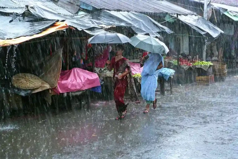 Monsoon Update: राज्यात अनेक ठिकाणी पावसाची दमदार बॅटिंग, पुढचे ५ दिवस पावसाचे