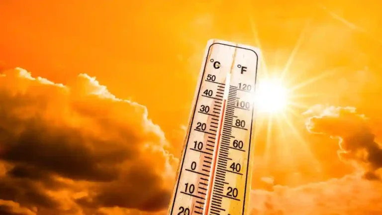 HeatWave : सूर्य आग ओकतोय! २४ तासात, दिल्लीत १४ तर उत्तर प्रदेशमध्ये ८१ लोकांचा मृत्यू