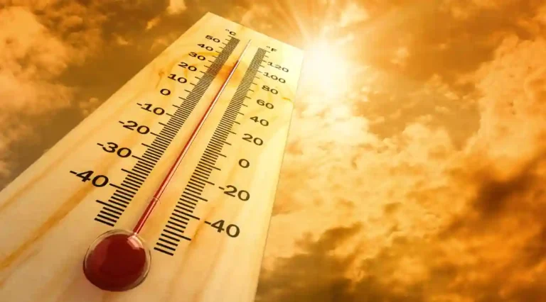 Heat Stroke: यंदाचा उन्हाळा ठरला रेकॅार्डब्रेक; राज्यात उष्माघाताचे किती रुग्ण?