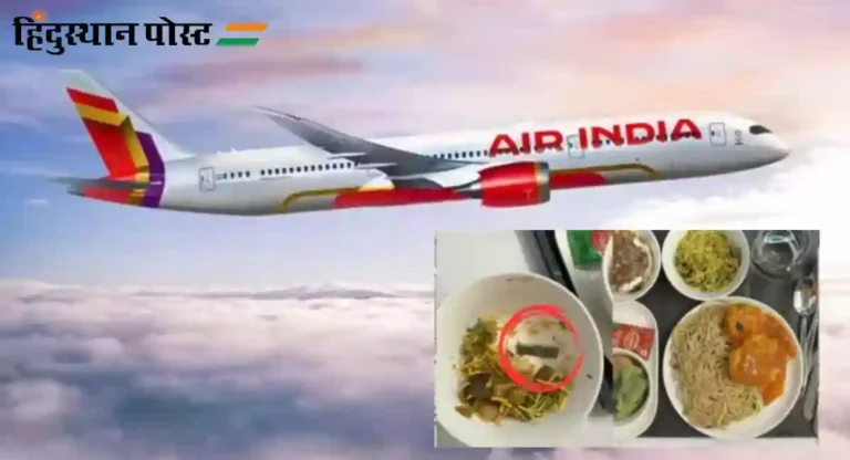 Air India International Flight च्या जेवणात सापडलं ब्लेड!