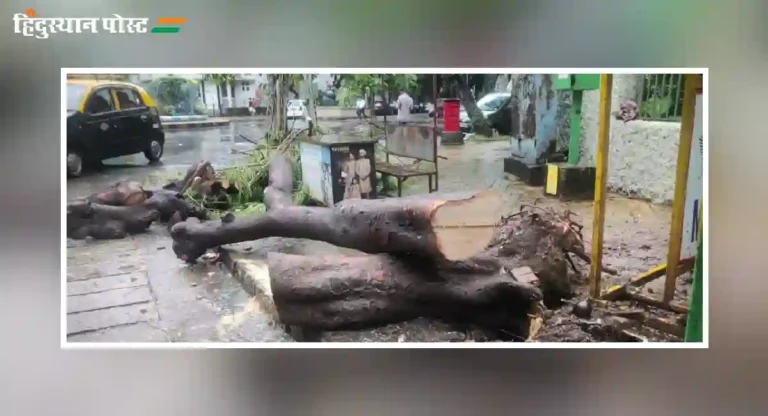 Tree Cutting : दुर्घटना घडताच मुंबईत झाडांची कापाकापी जोरात
