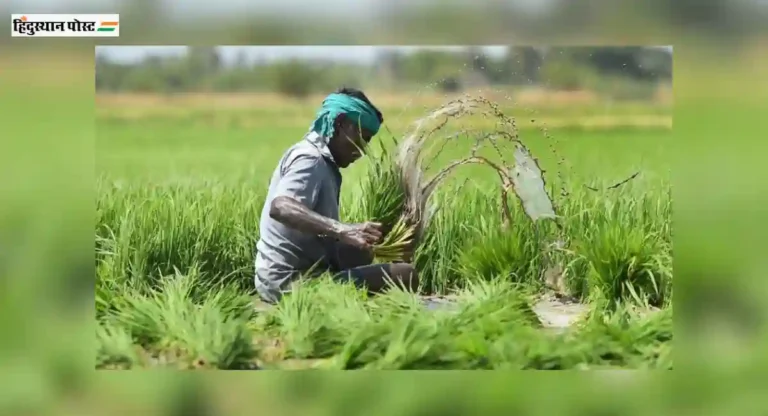 Pradhan Mantri Pik Bima Yojana: शेतकऱ्यांसाठी आनंदाची वार्ता! एक रुपयात पीक विमा भरण्यासाठी जुलैच्या ‘या’ तारखेपर्यंत मुदतवाढ 