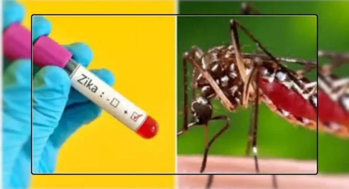 Zika Virus: पुणेकर सावध व्हा! झिका व्हायरसची झपाट्याने वाढ; एकूण रुग्णांची संख्या ४८ वर