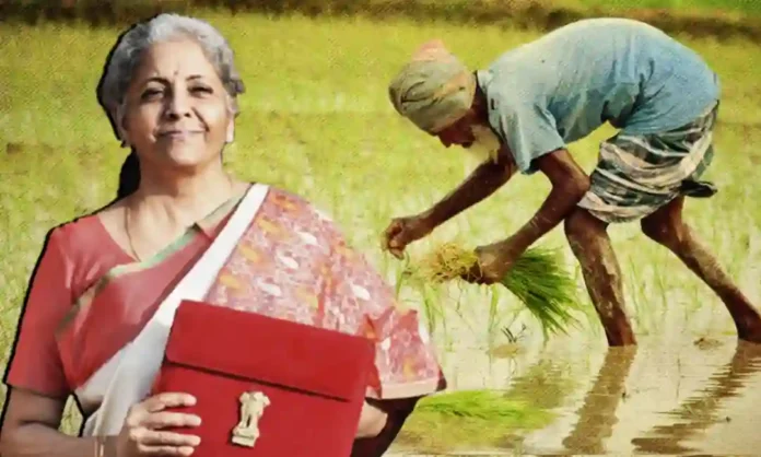 Agriculture Budget 2024 : केंद्र सरकारकडून नैसर्गिक शेतीला प्रोत्साहन! शेतकऱ्यांसाठी महत्त्वाच्या घोषणा कोणत्या?